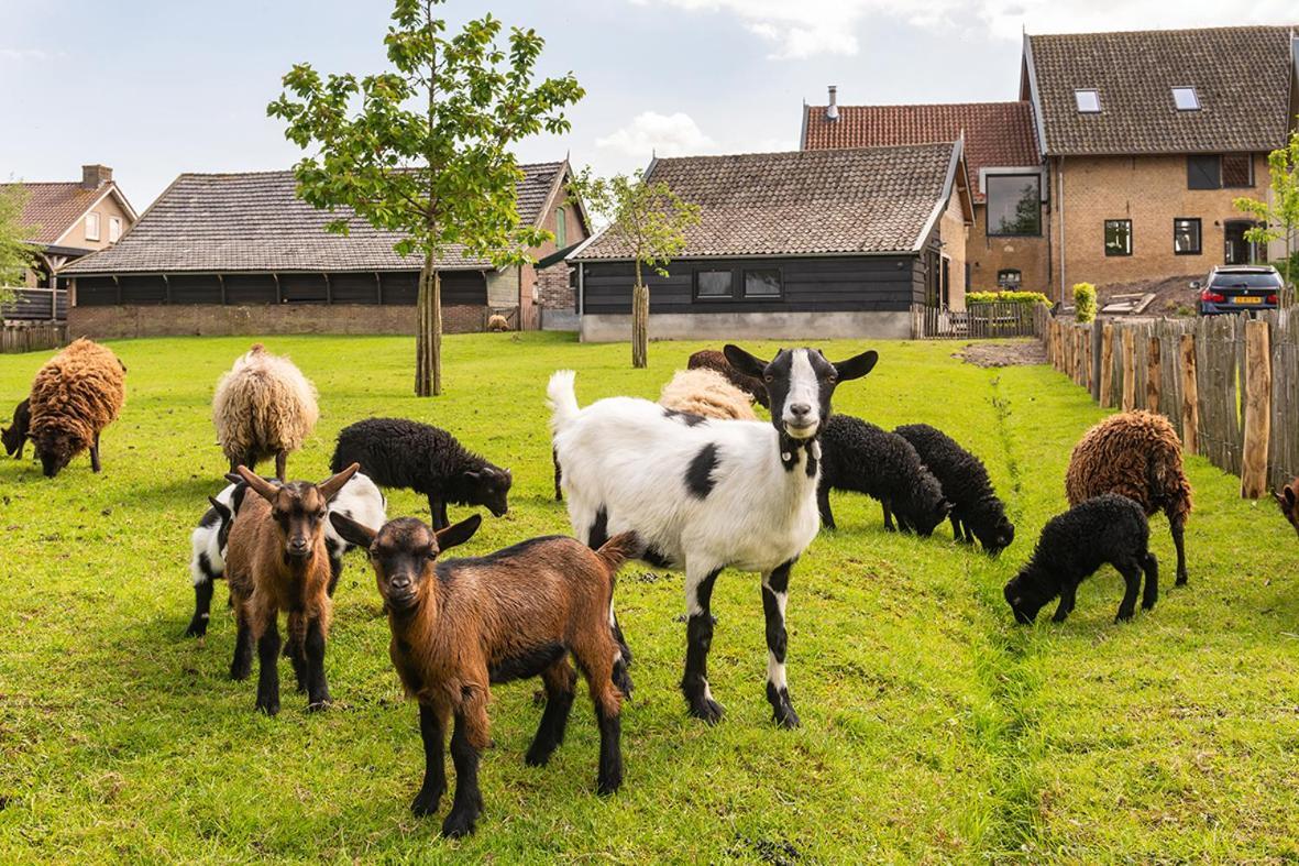 Vakantiehuisje In De Polder Oud-Alblas ภายนอก รูปภาพ